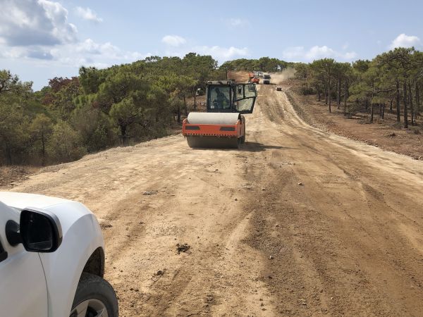 Cost of Driveway Grading in Broomfield