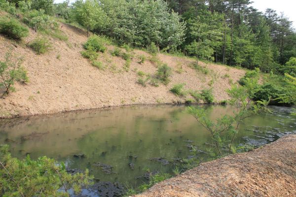 Pond Erosion Repair in Broomfield