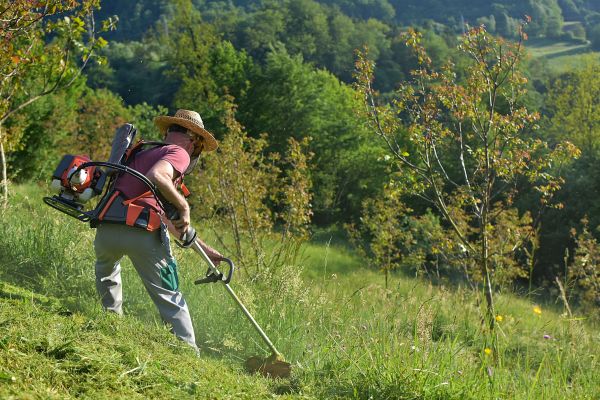 Cost of Slope Trimming in Broomfield